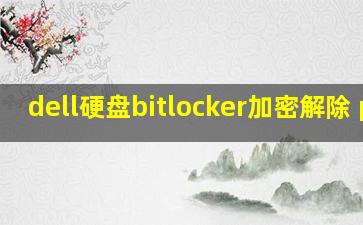 dell硬盘bitlocker加密解除 pe